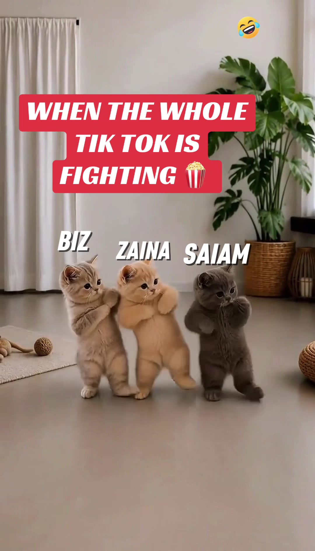 @KING⚔️ZAINA.0803🌙🕊️🕊️