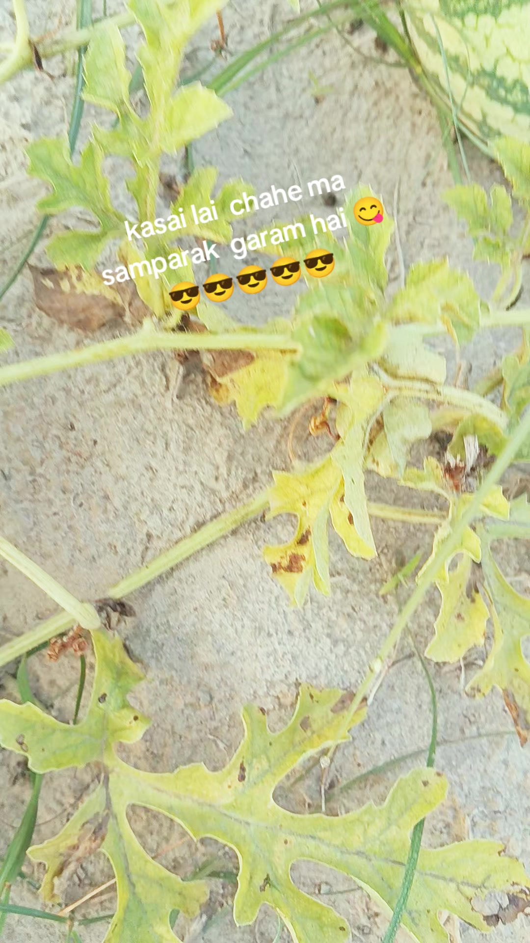 @Dear .jindagi 👍️💔💘