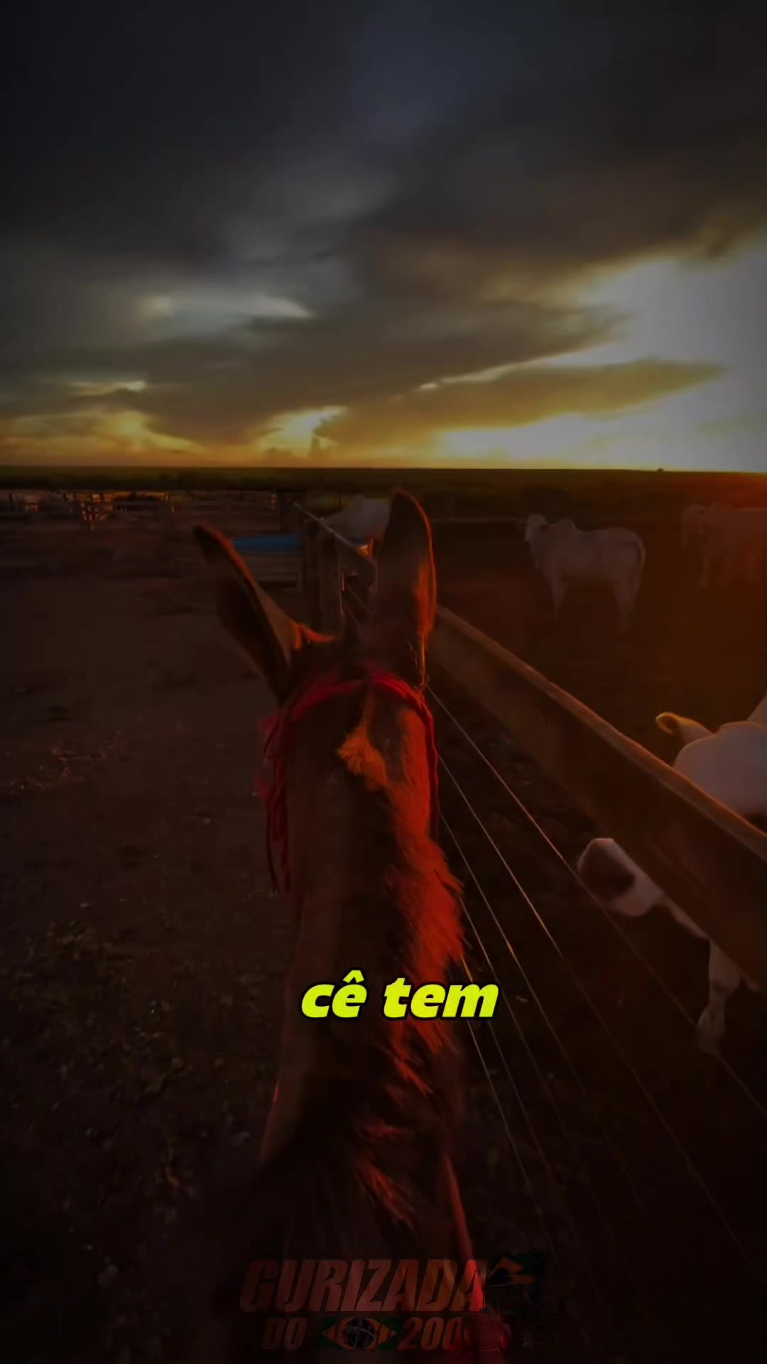 @gurizada_da_agropecu&aacute;ria