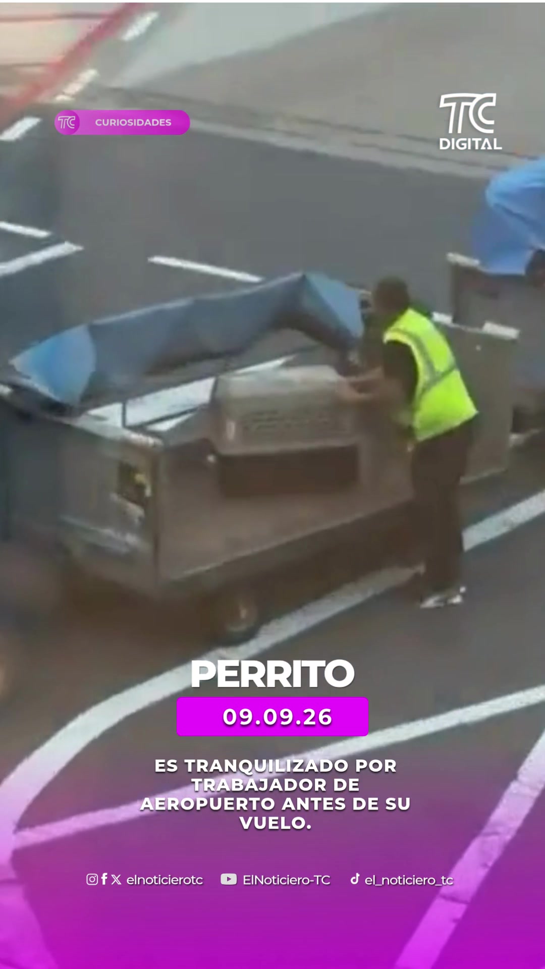 @TC Televisión