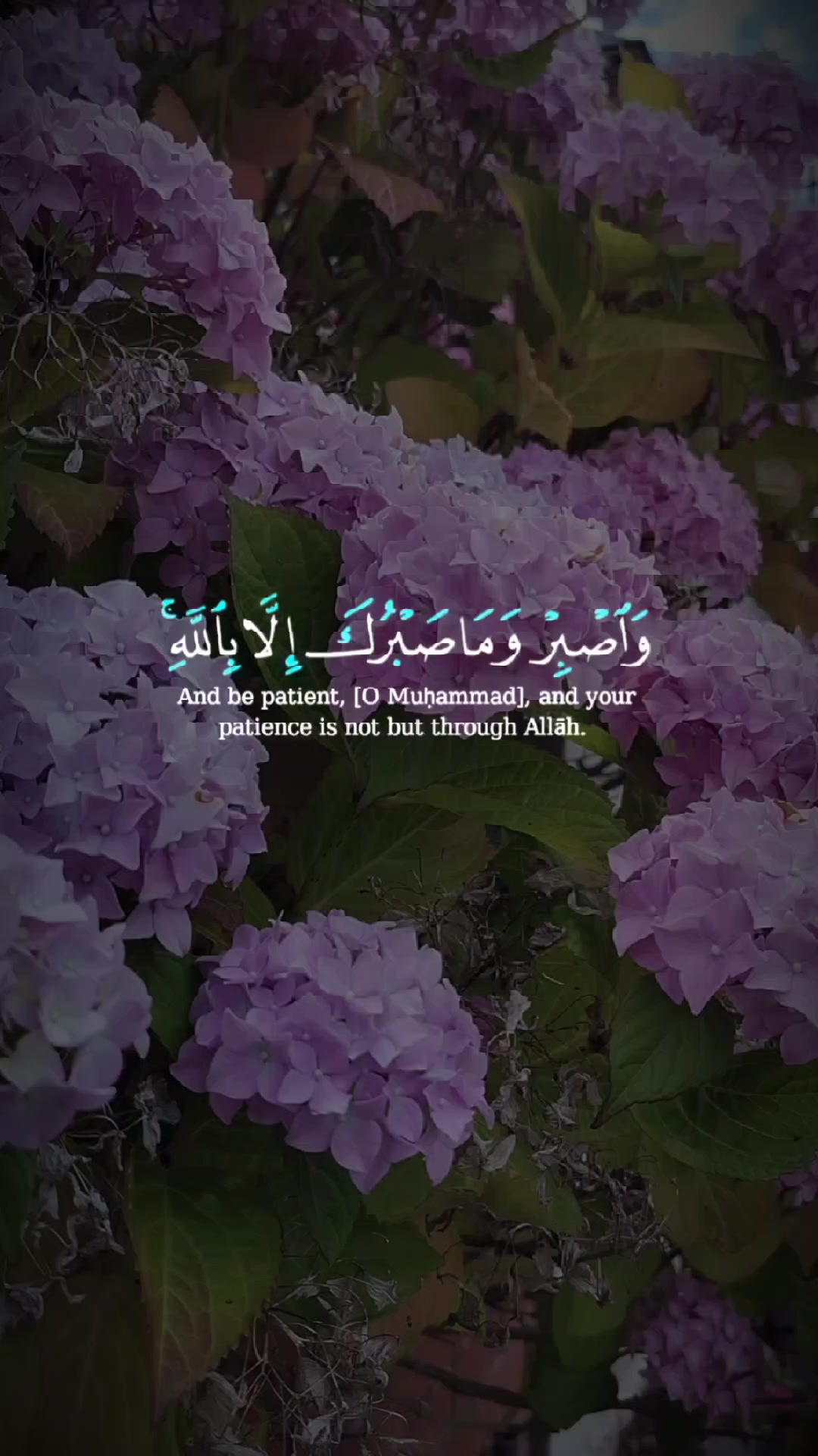 @قرآن كريم