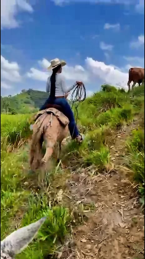@Caballos y Reatas
