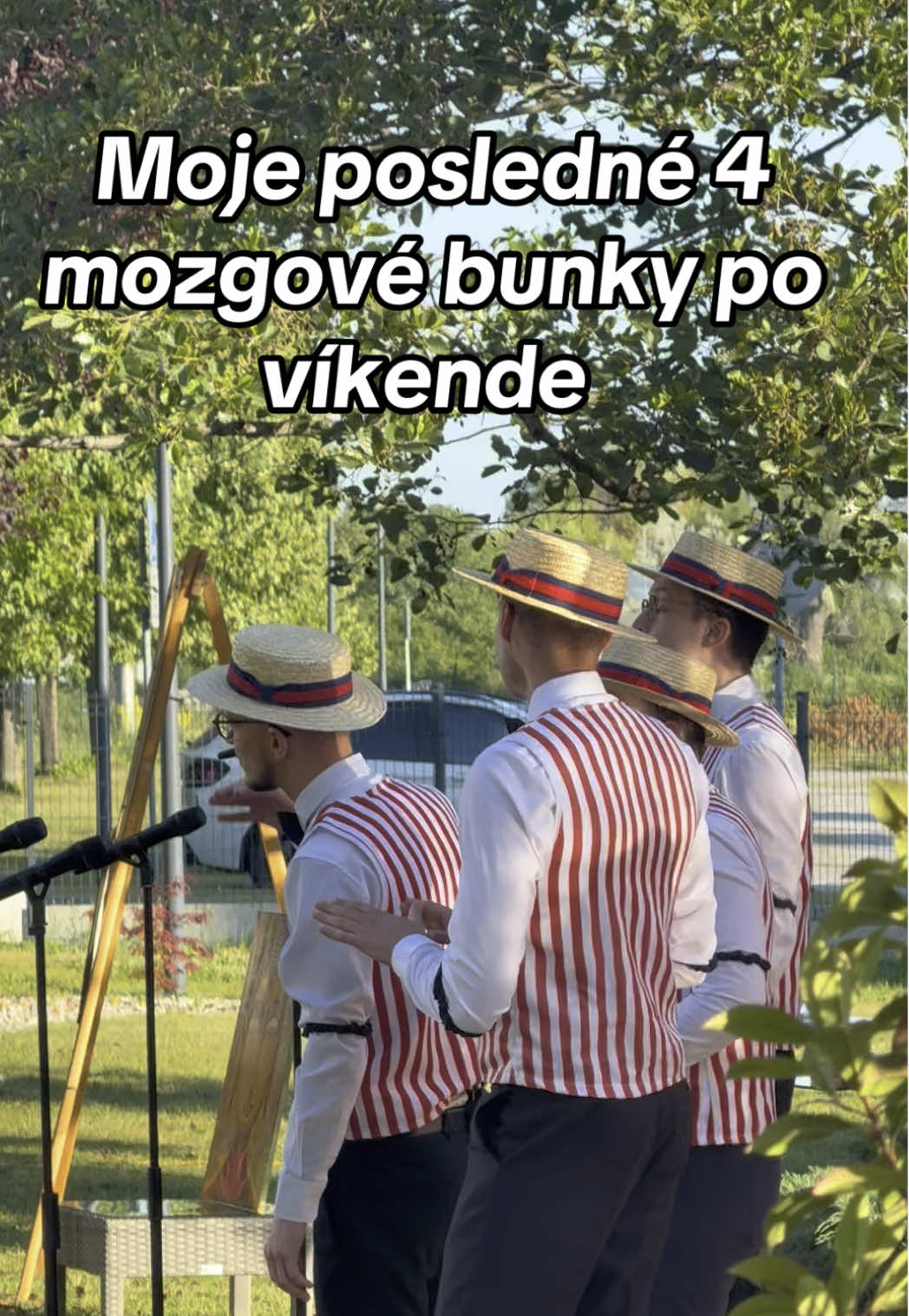 @Tom&aacute;&scaron; &Scaron;čip&aacute;k