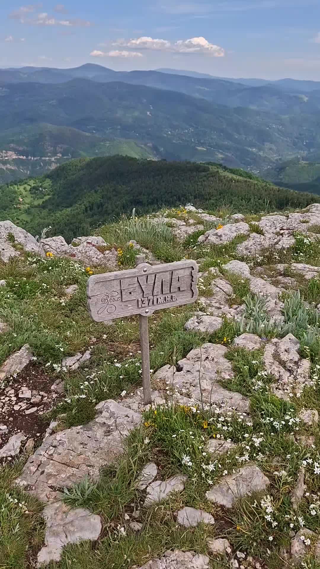 @Nedelin Bozhinov