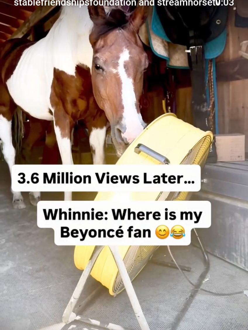 @streamhorse