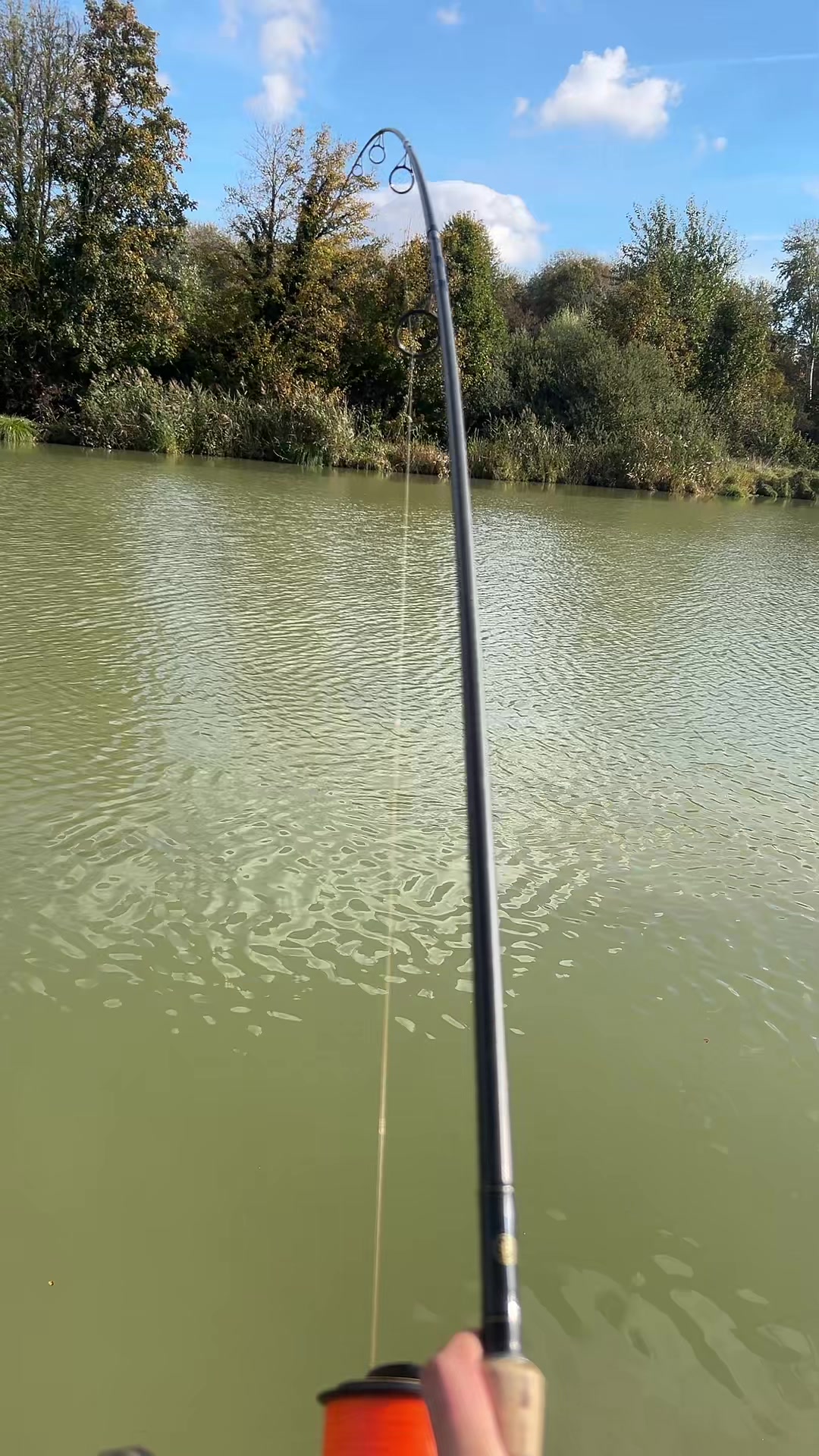@Carpefishing80