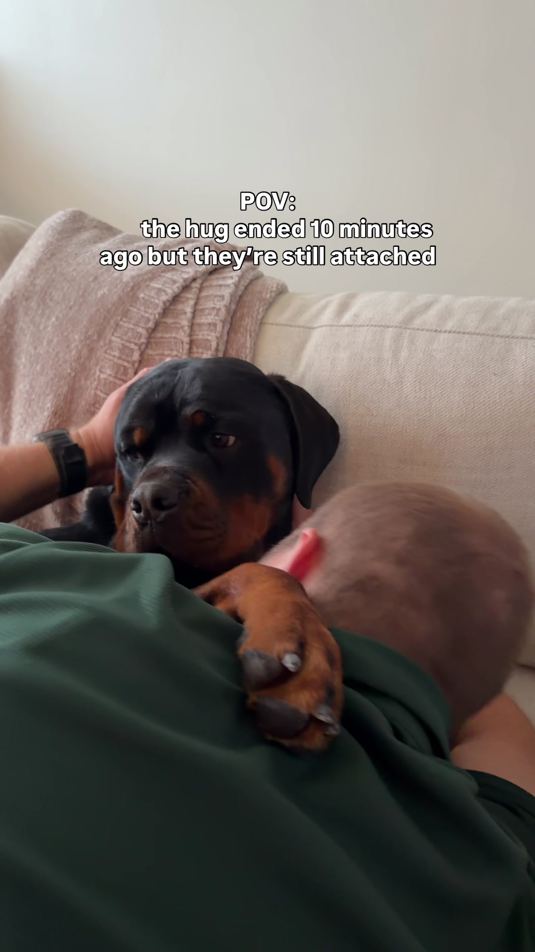 @Rex the Rottweiler