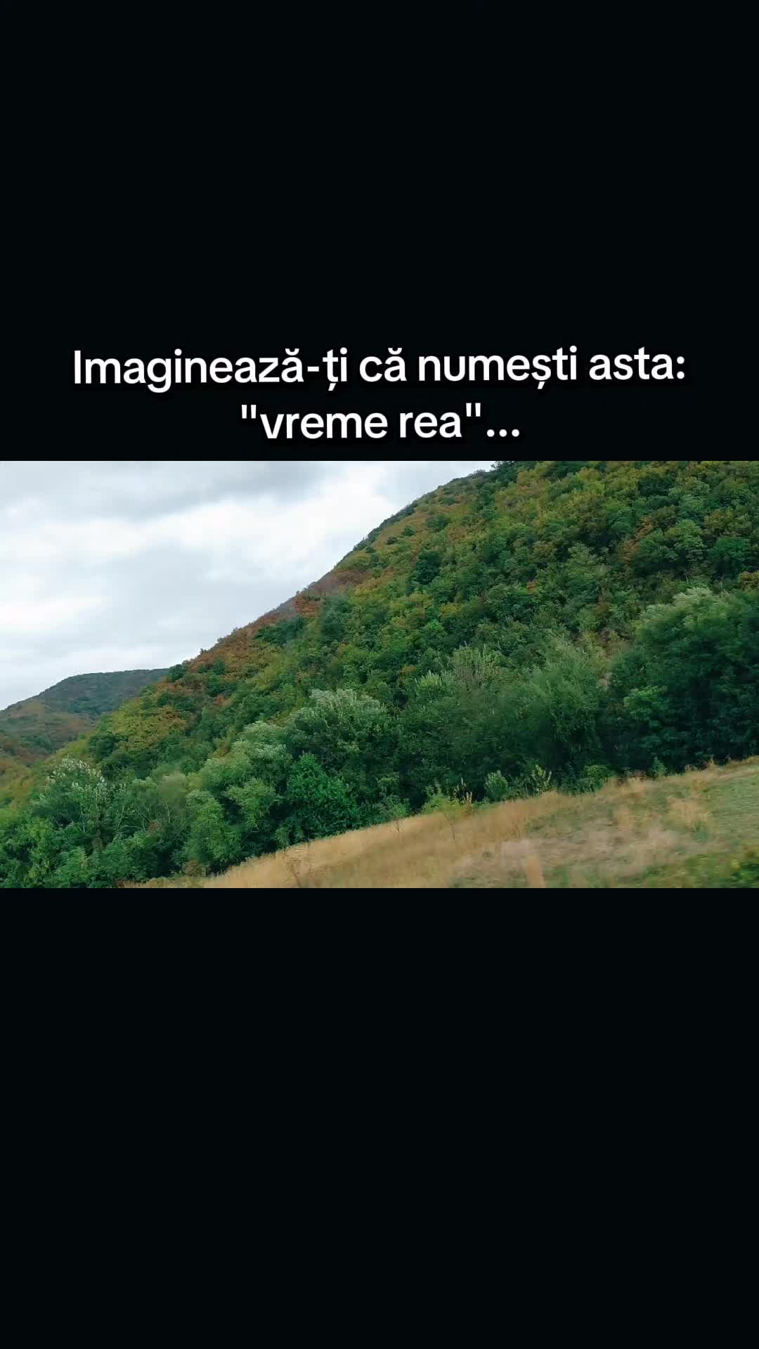 @Naniea Delia Cosmina