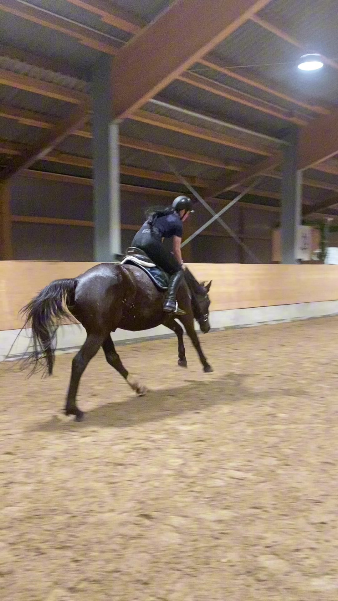 @porschepony.bibi