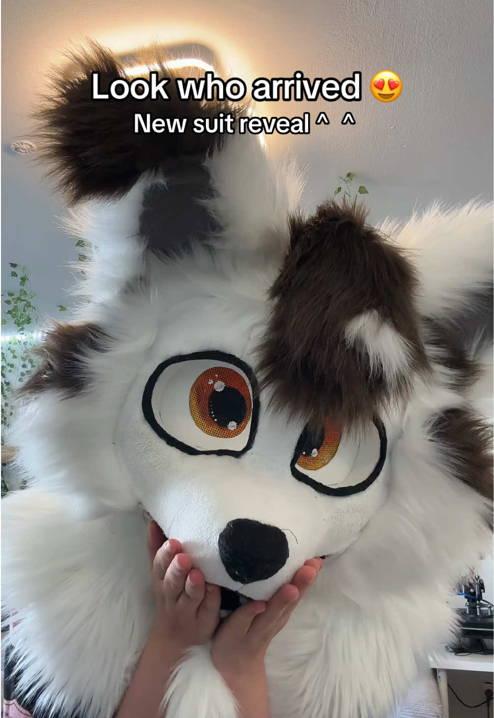 @fuzzybee