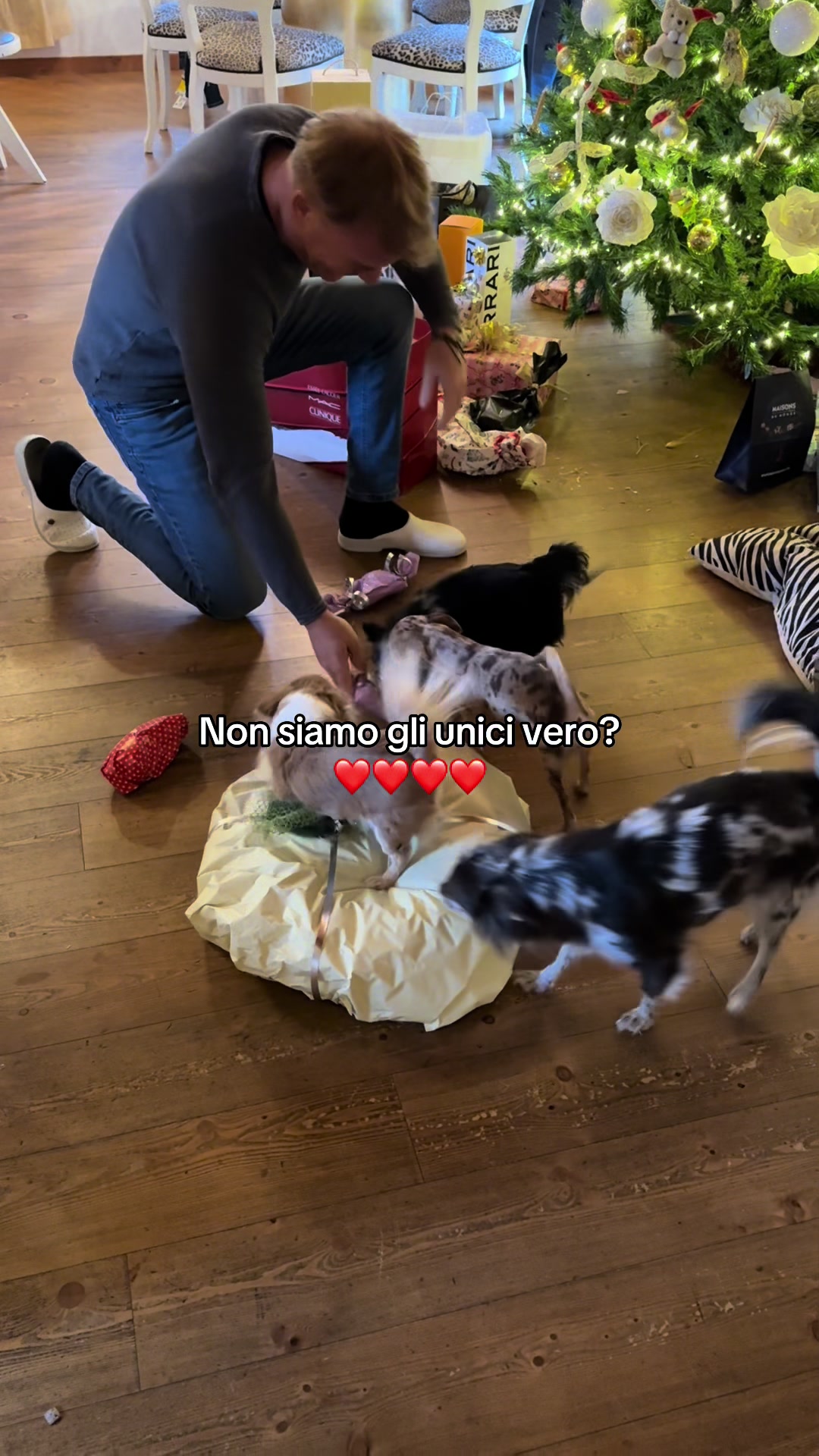 @Clara leto