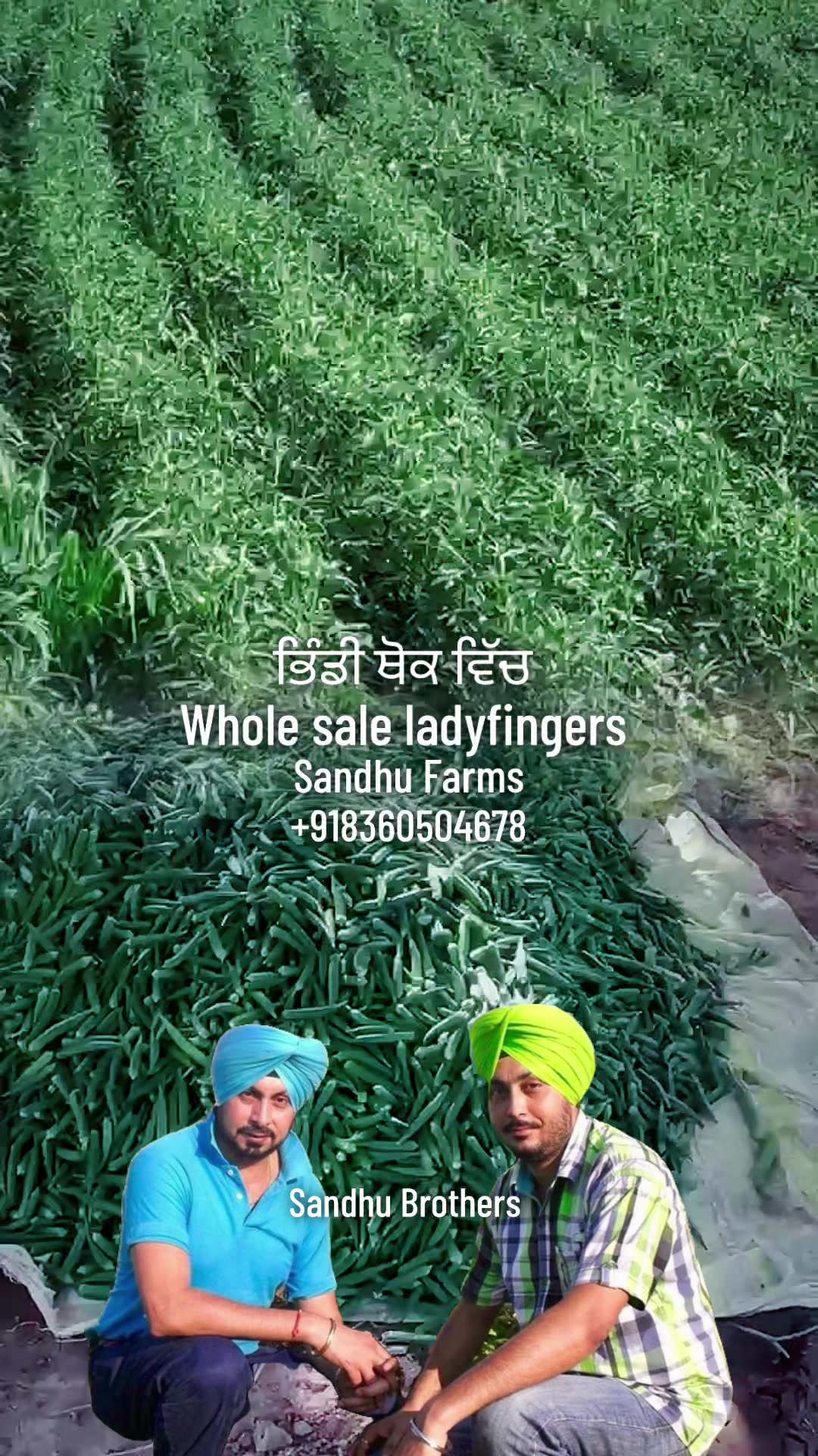 @ਮੌਜੀ (all rounder)