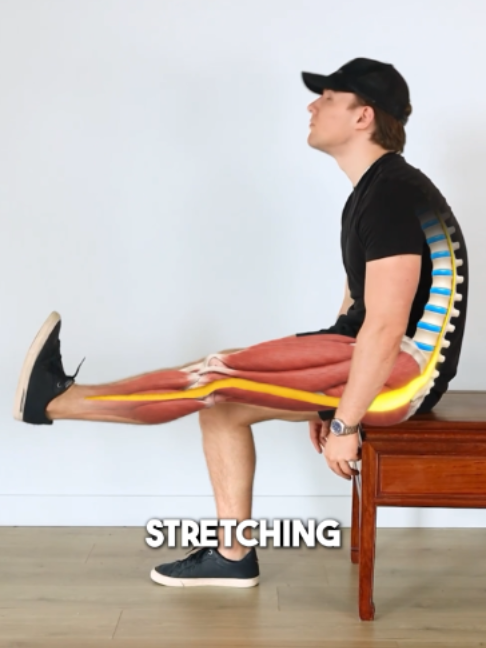 @Recover Pain