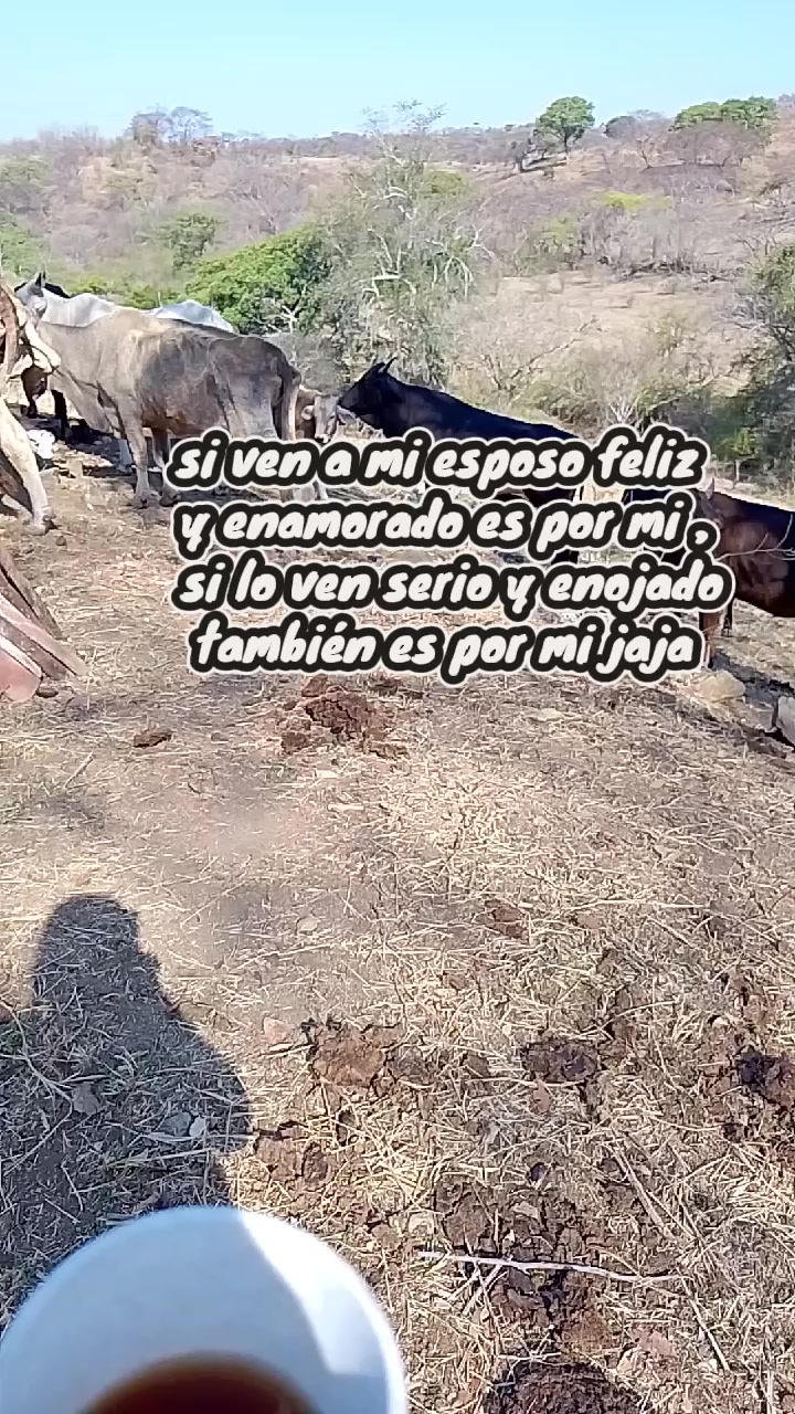 @Patricia Loza