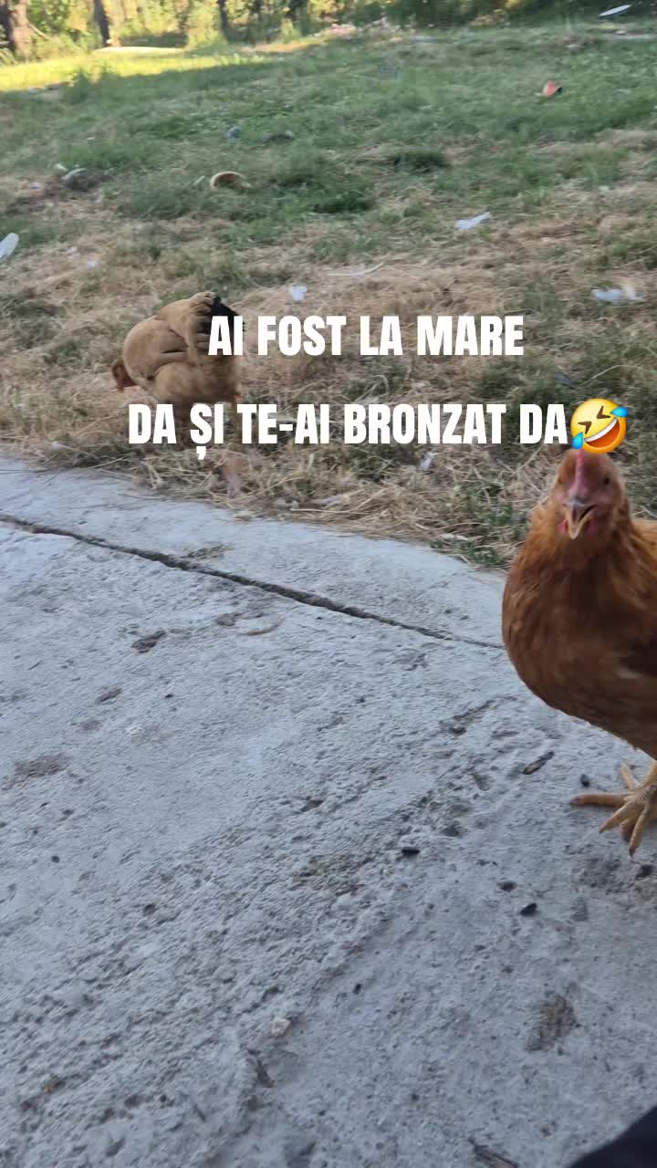 @Andreea 🇷🇴 ❤️🇮🇹