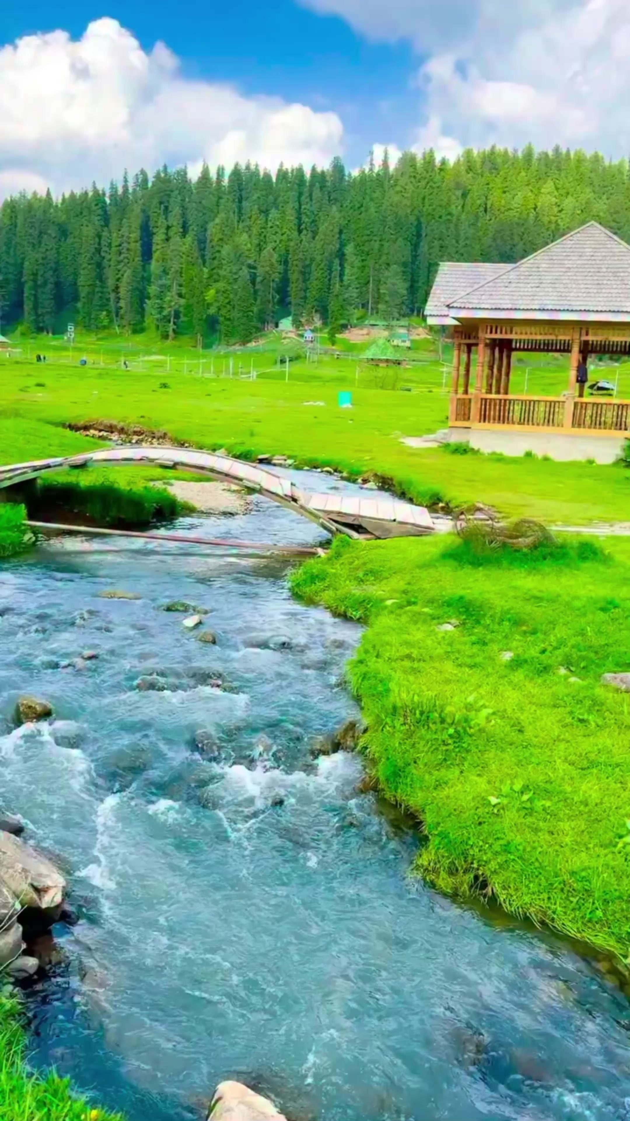 @World 🌍 beauty