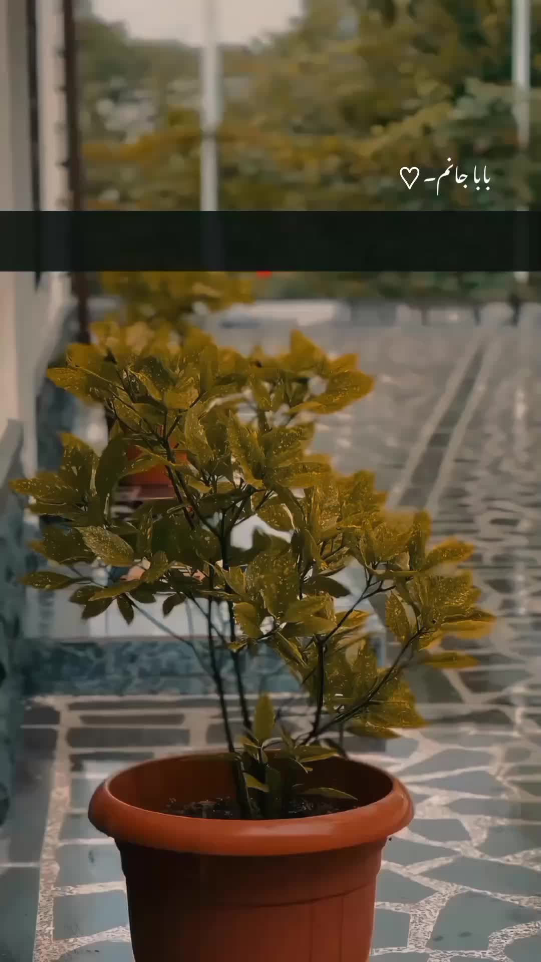 @𝙍𝙞𝙯𝙫𝙞 ♡