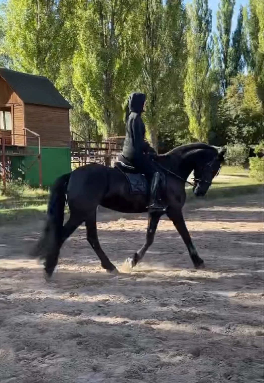 @naemnica.oligarha