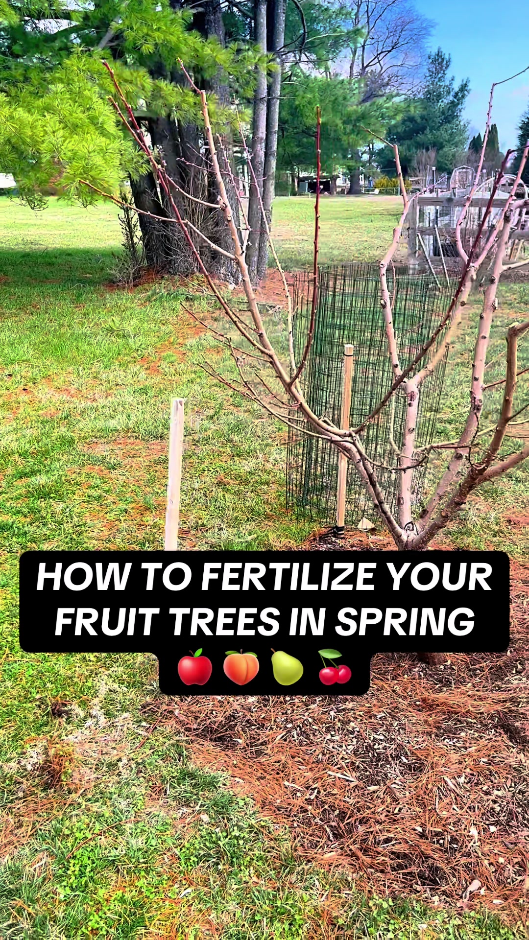 @TheFruitfulFoodscape