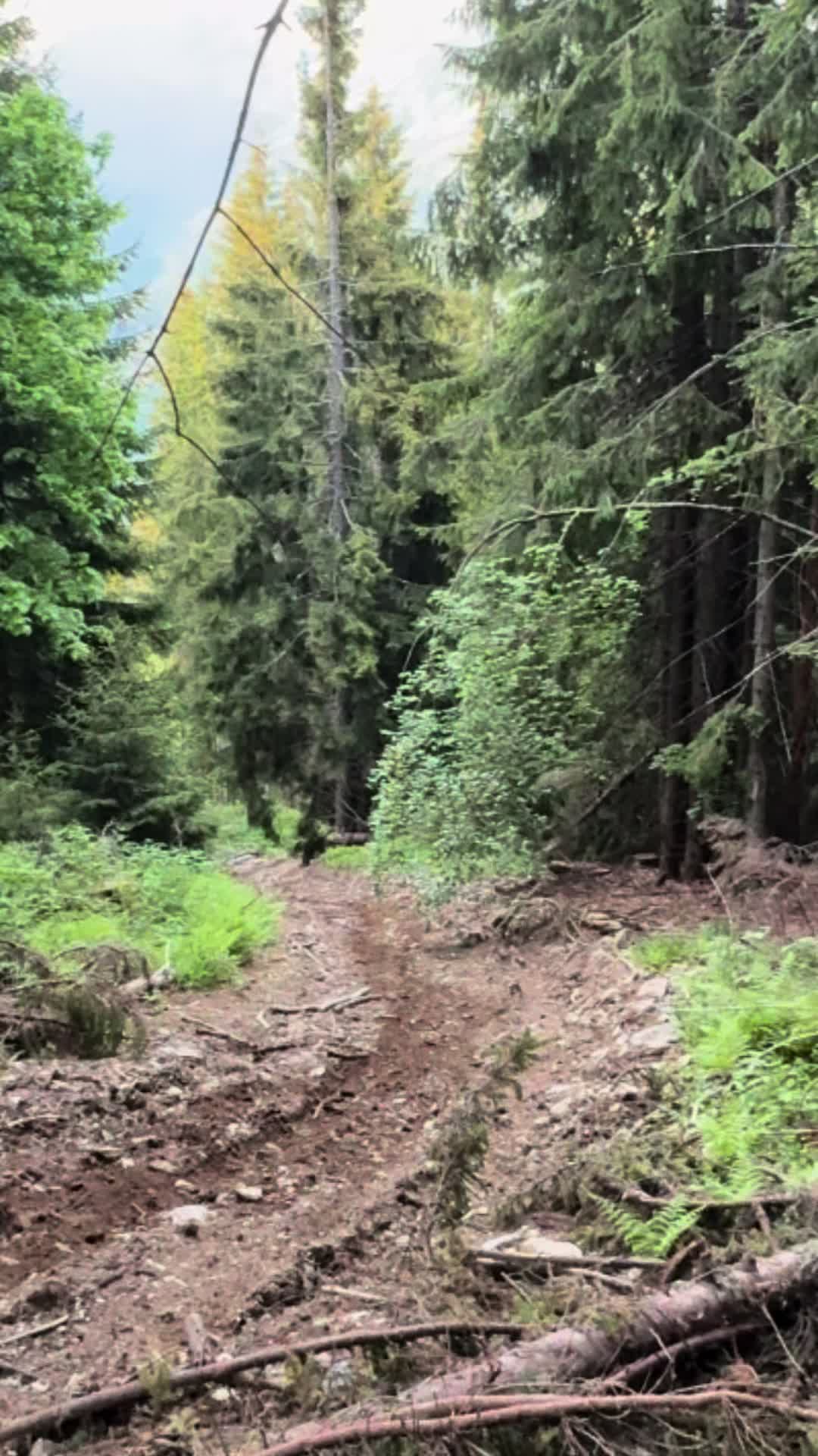 @moto.enduro