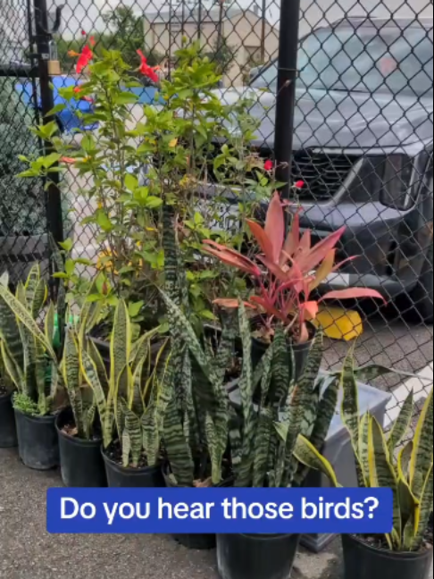 @whardwarehtx
