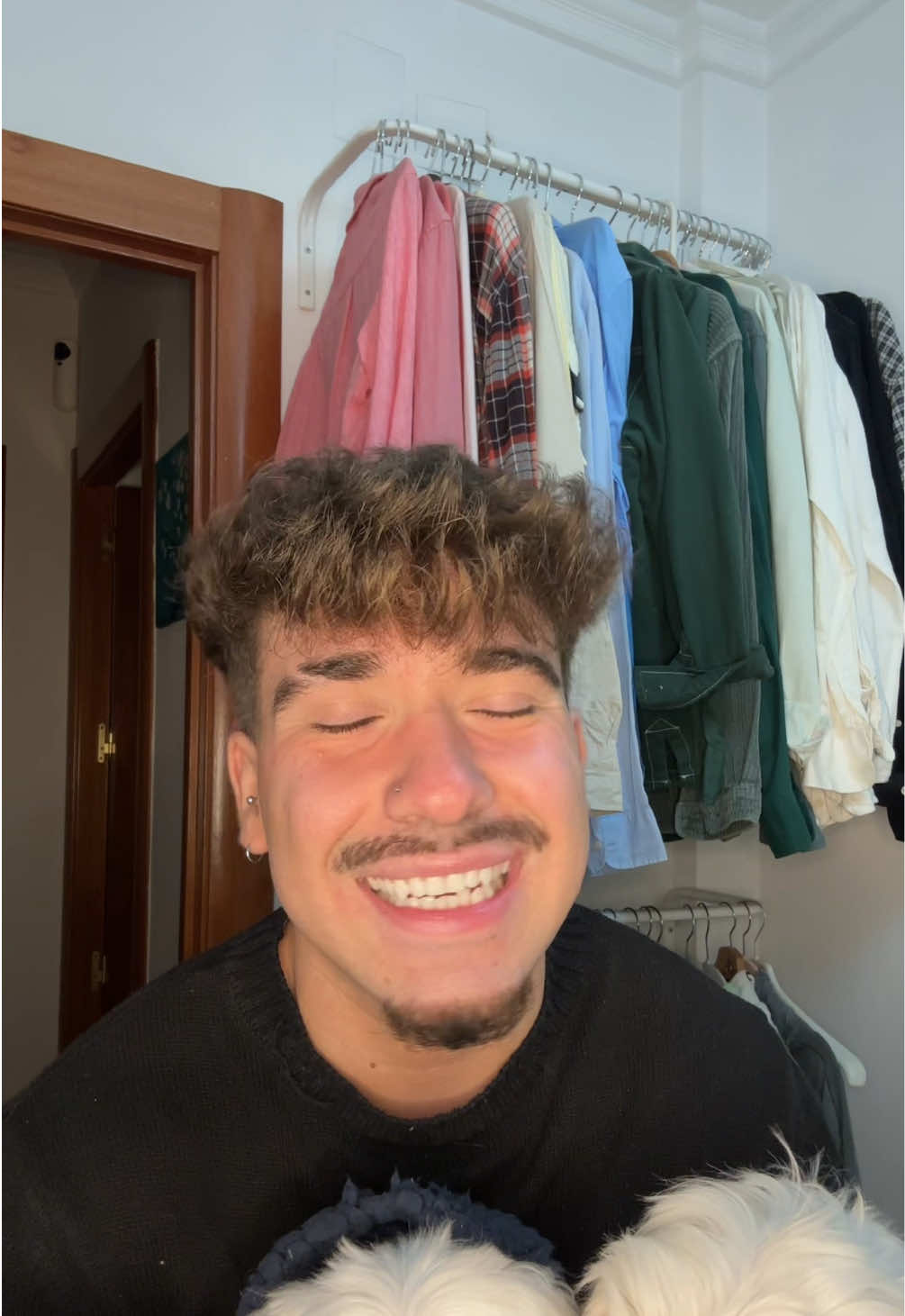 @miiguefs