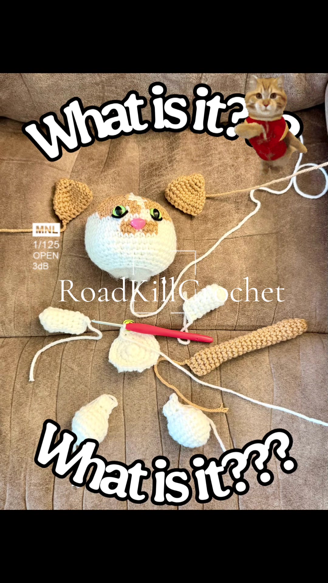 @Road Kill Crochet