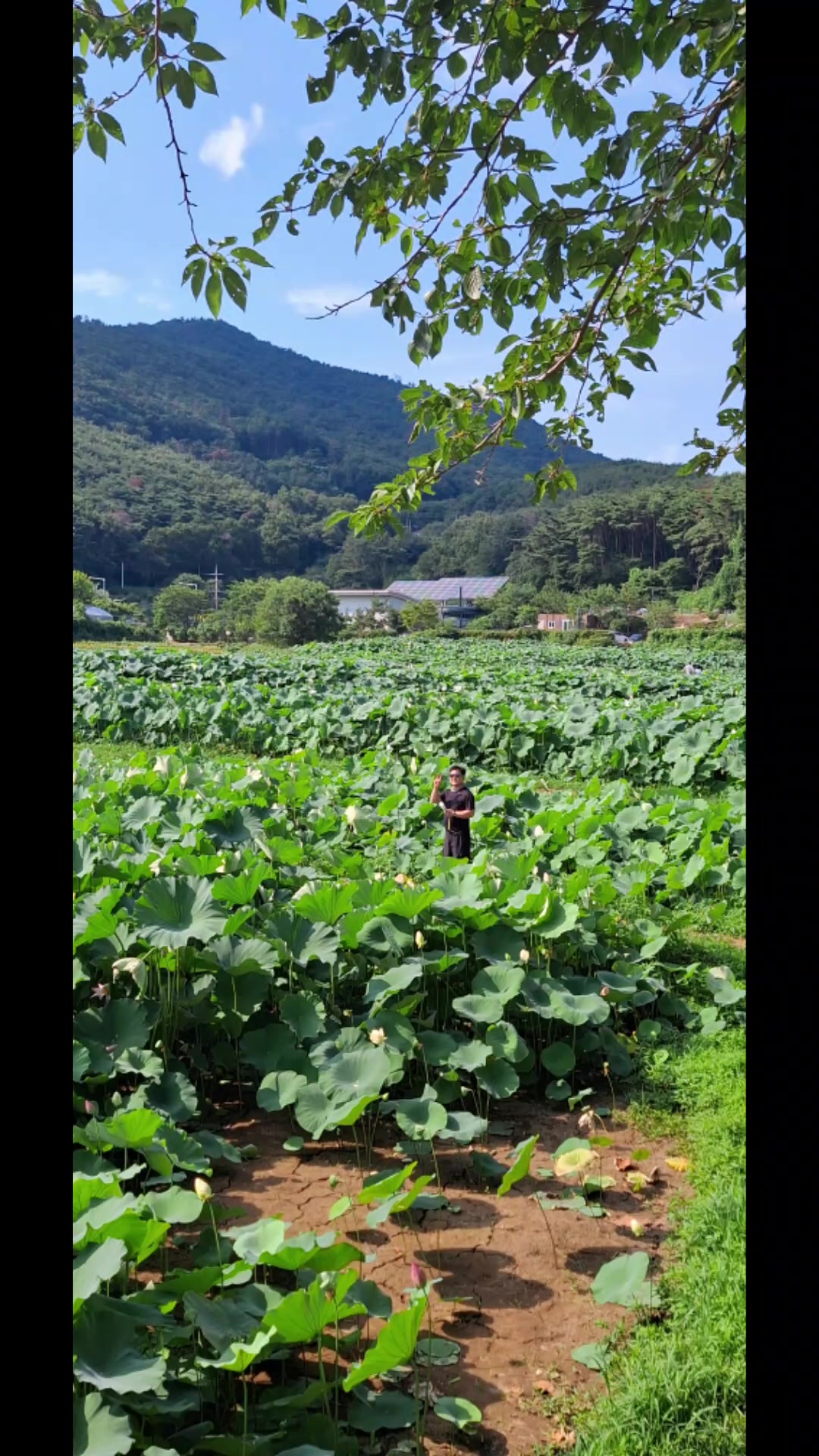 @땡이맘/헤어톡