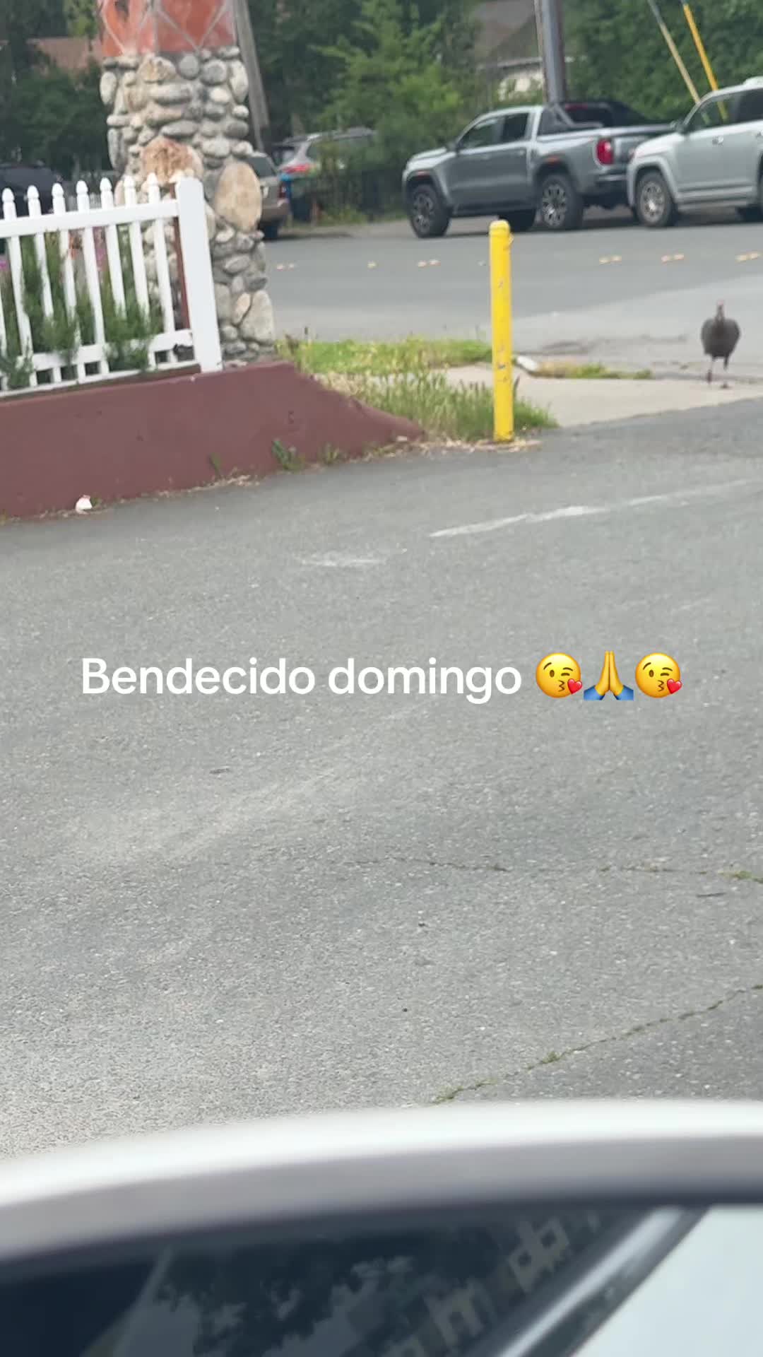 @Palmis