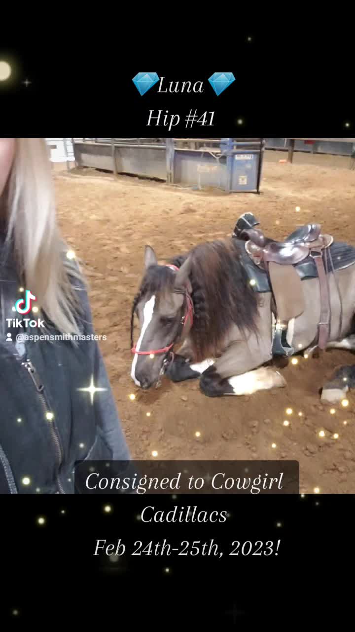 @Ozark Mountain Horses LLC