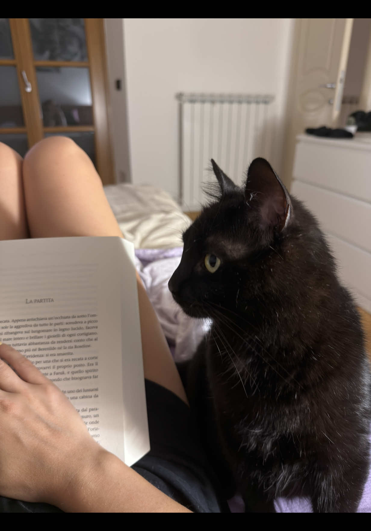 @Giada🐈⬛🖤