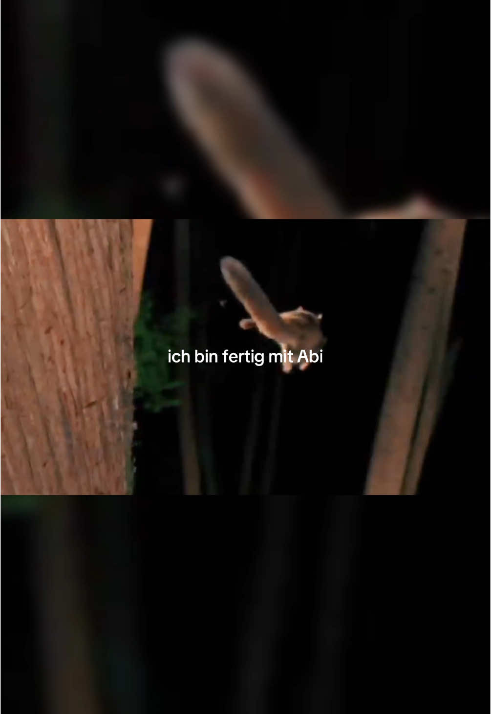 @wonderloopsvideo