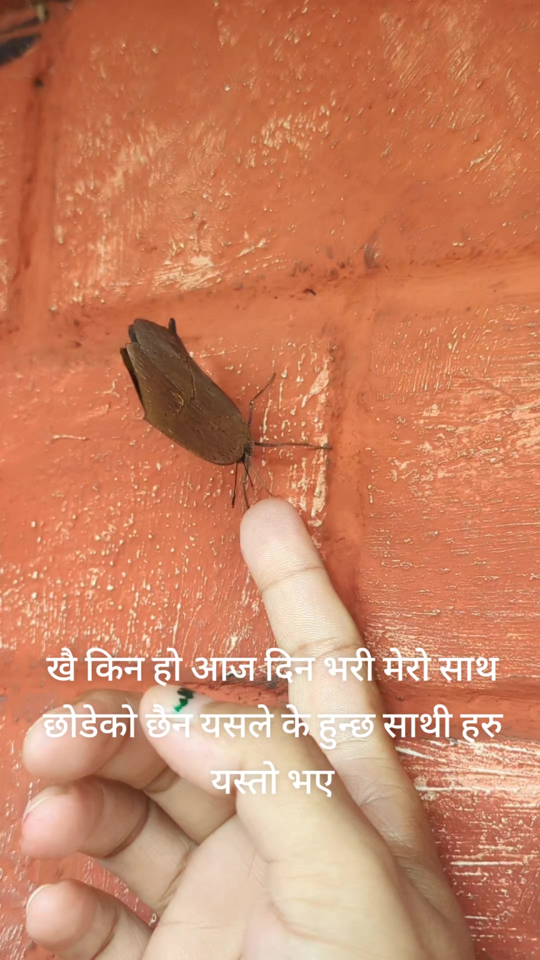 @Muskan Ghimire