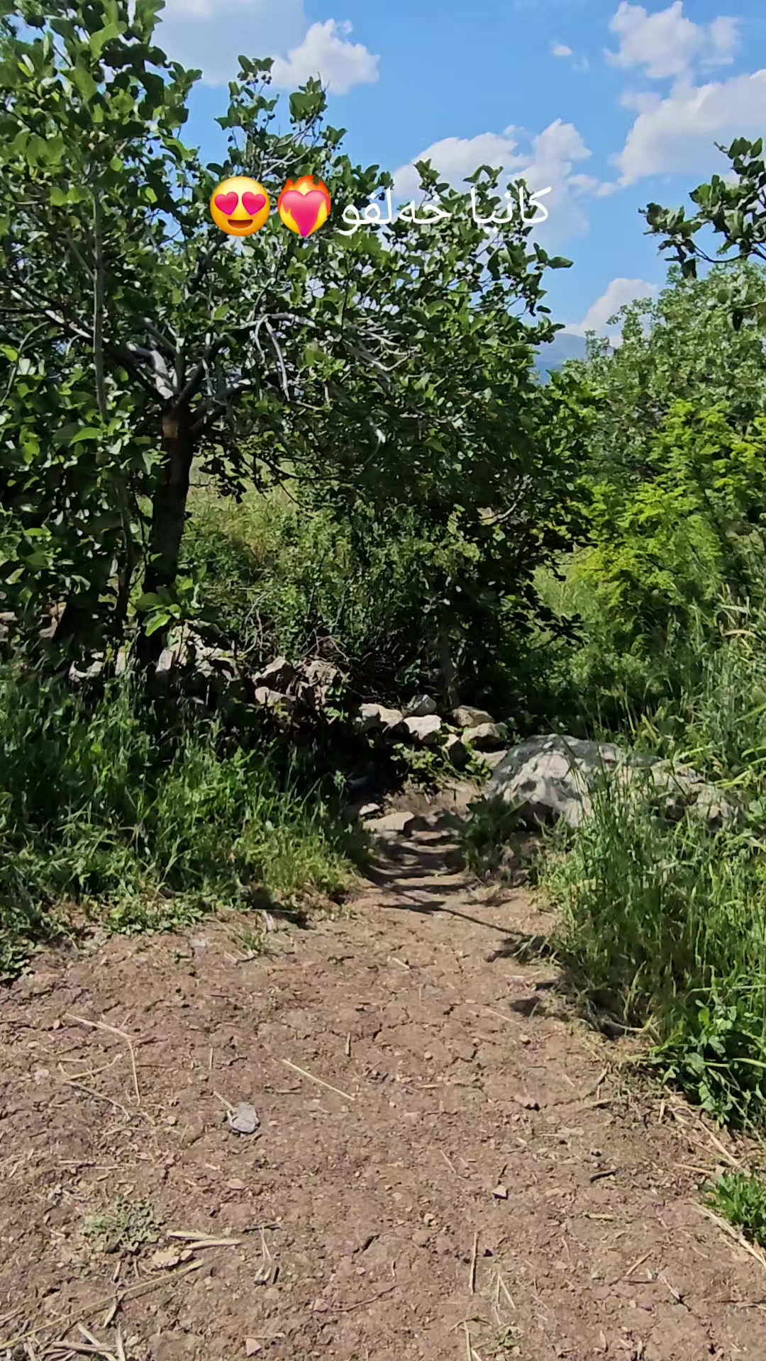 @heja_nheli25📸⛰️