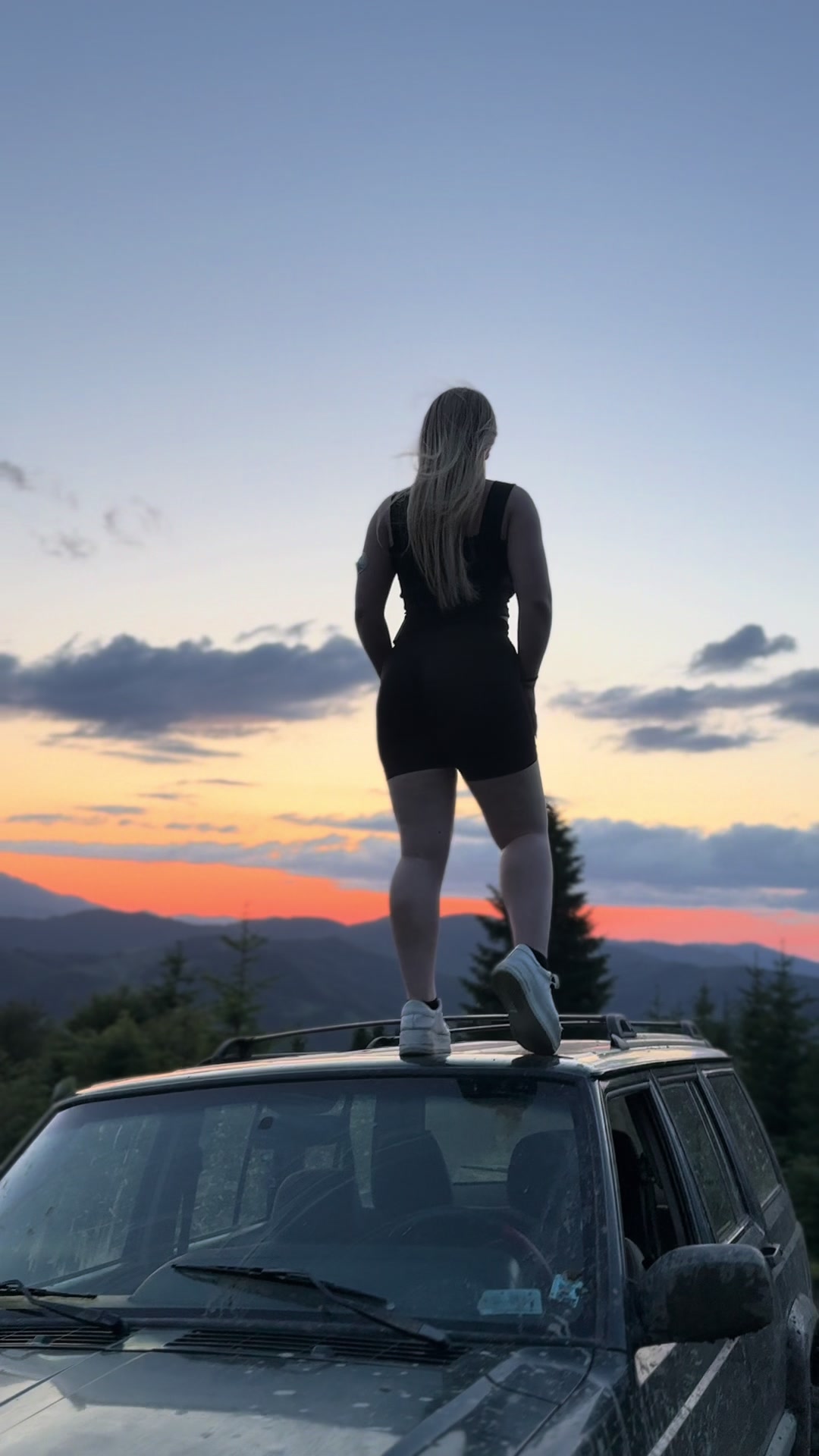 @Niculina Vasies