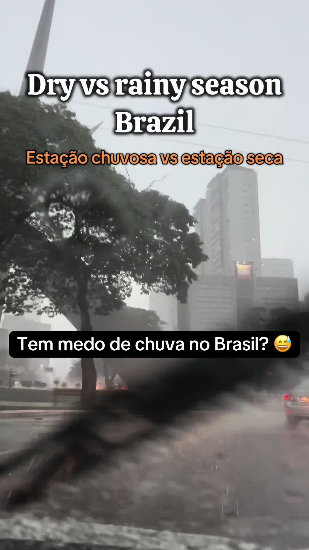 @Iiris | Life in Brazil🇫🇮🇧🇷