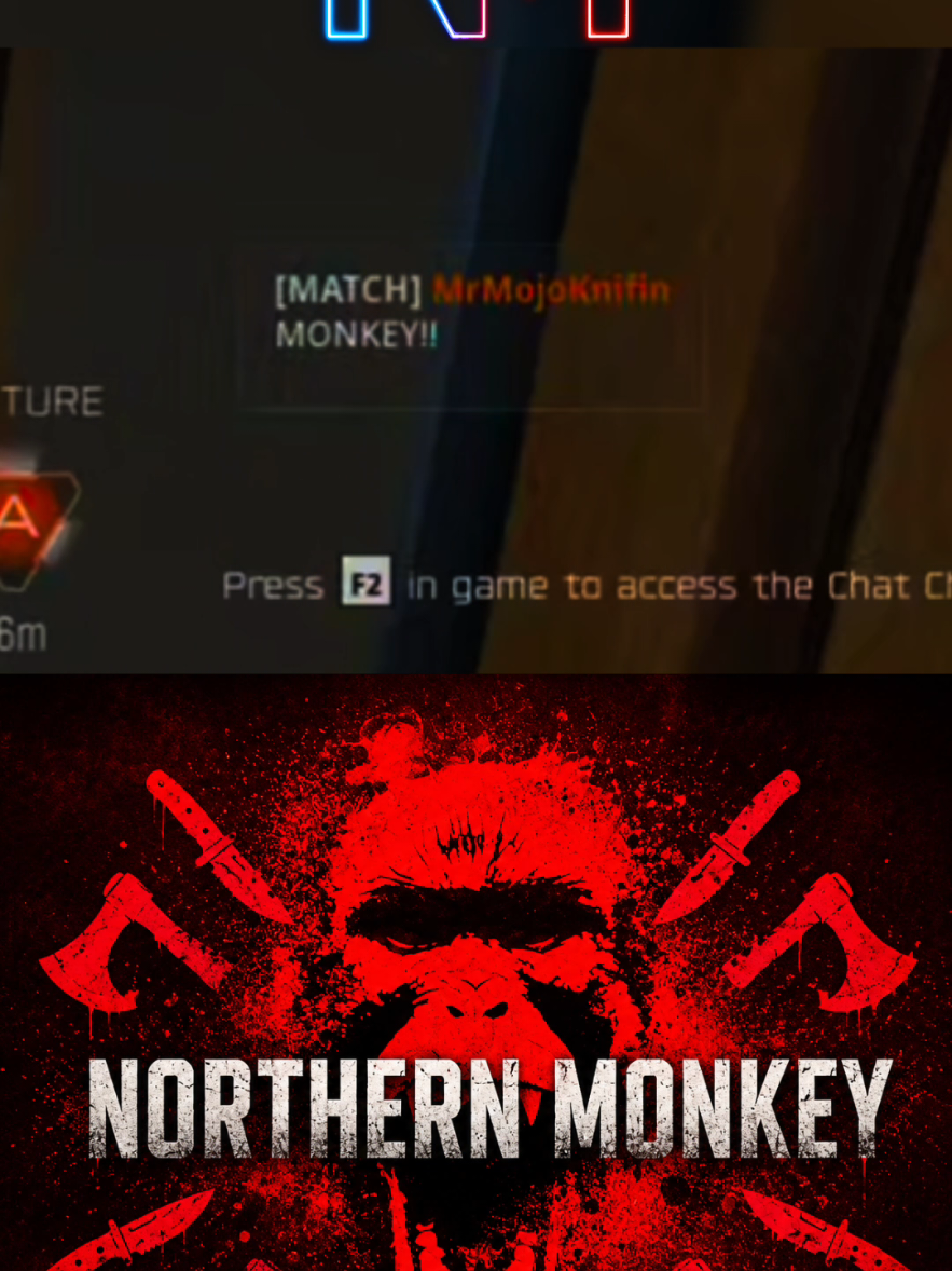 @Northern Monkey
