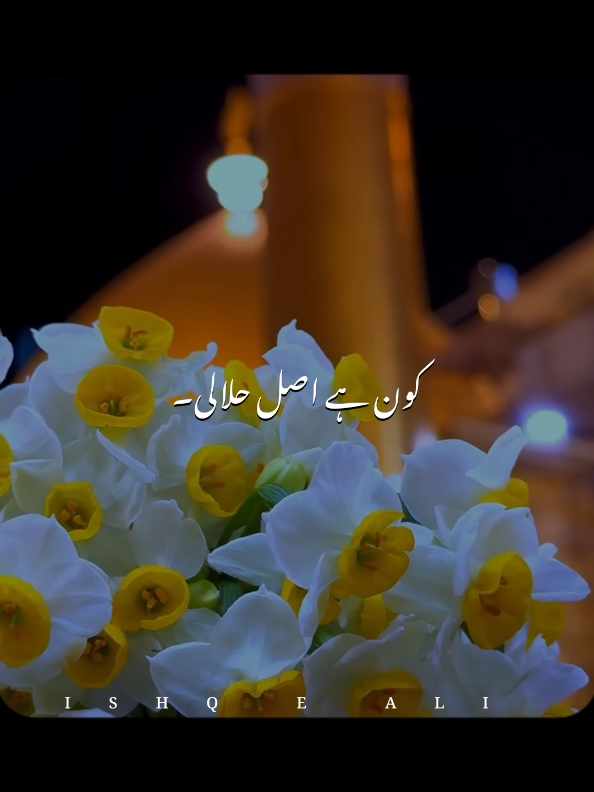 @𝙄𝙎𝙃𝙌 𝙀 𝘼𝙇𝙄 🙌🏻🚩