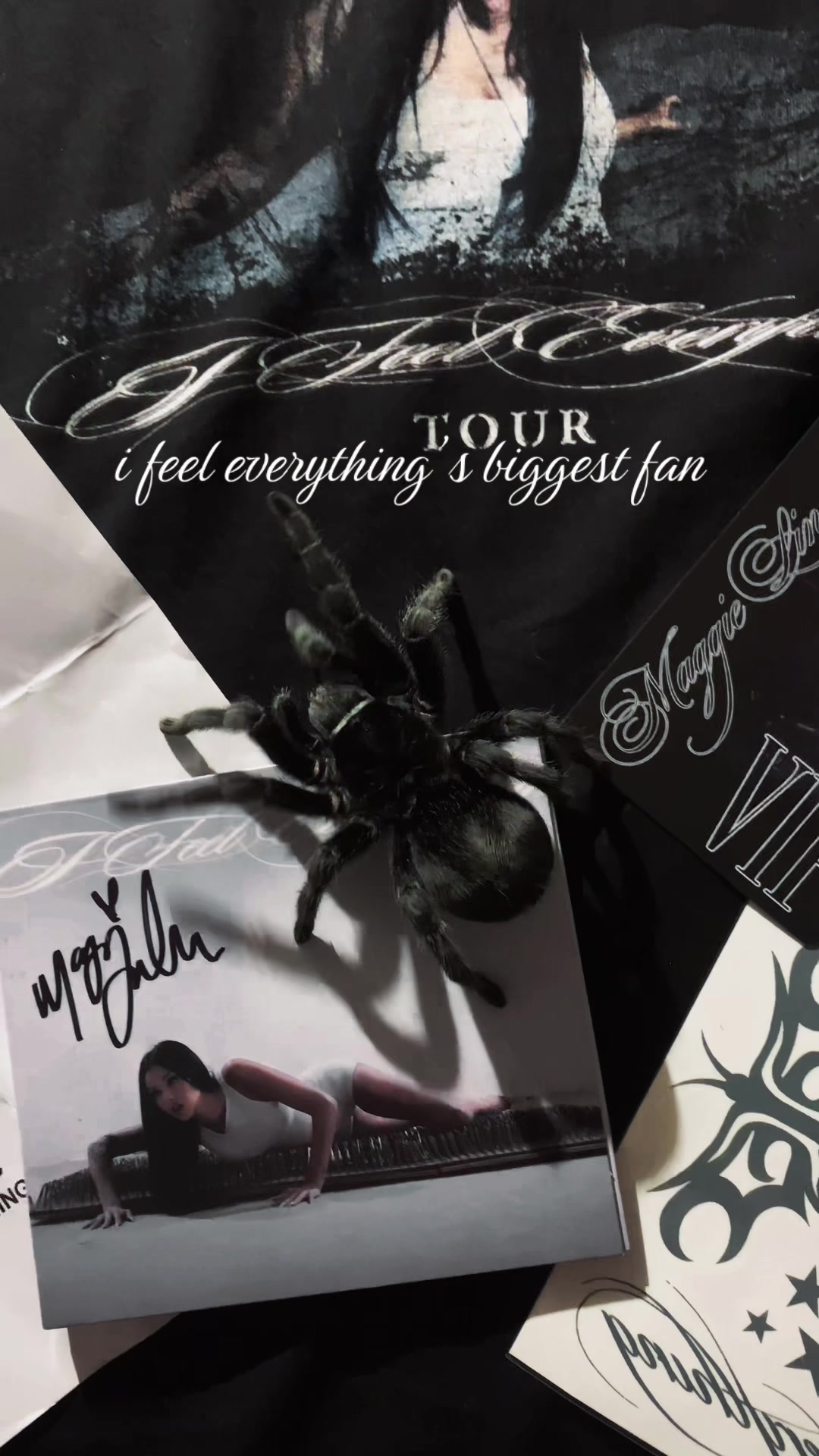 @spectralfawn