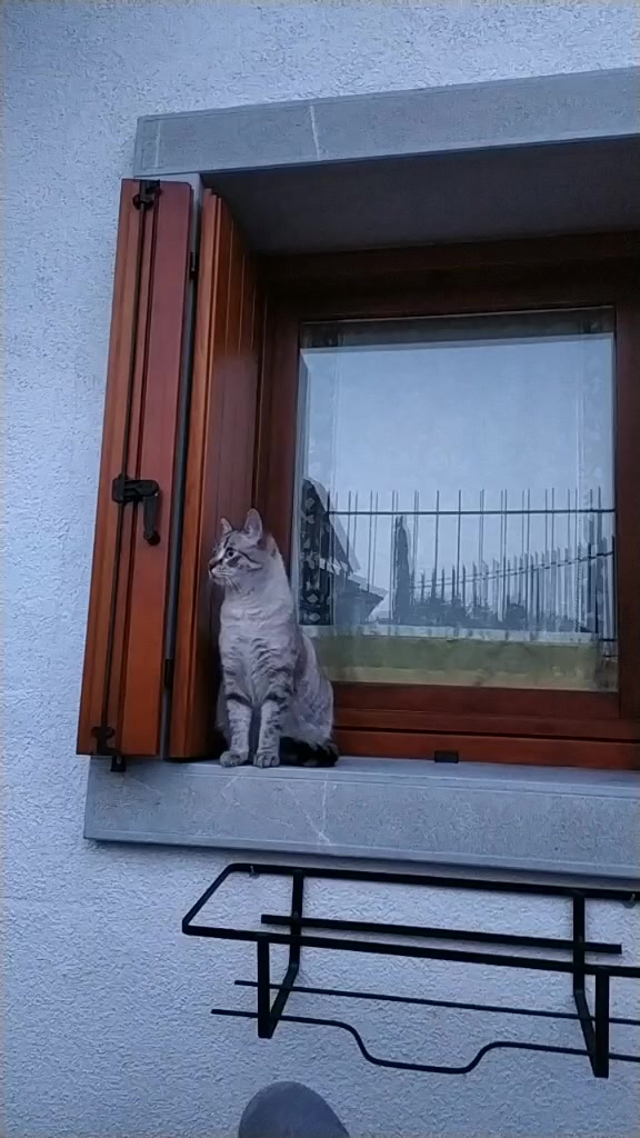 @Erika Urli