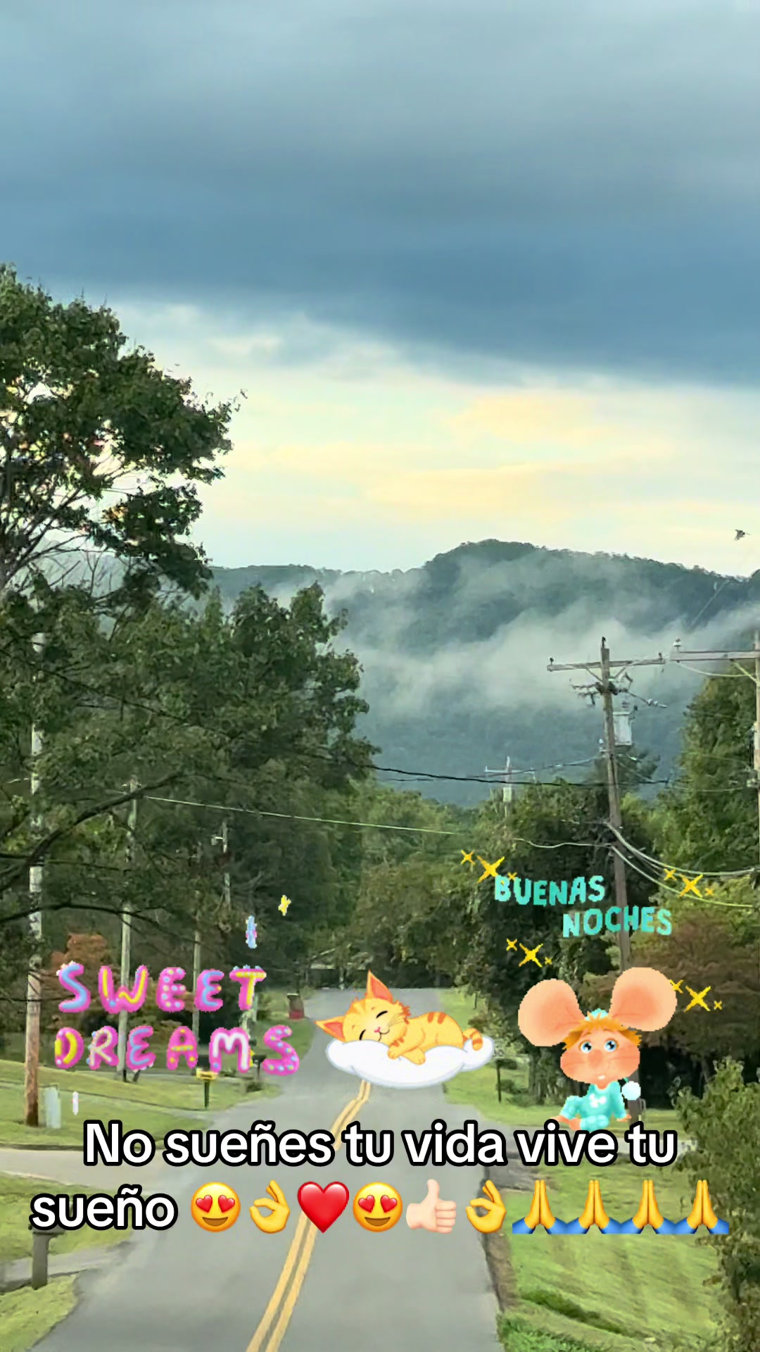 @Michoacanaallyzone