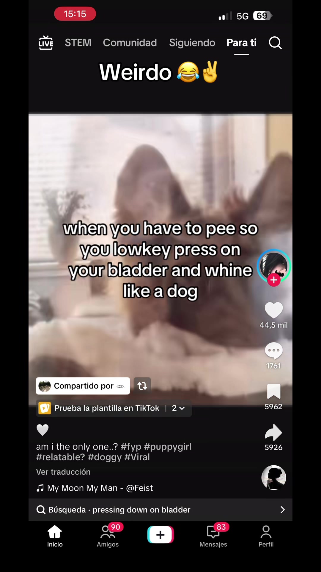 @๐ค ๐ฝ๐๐๐๐๐/๐ญ๐๐๐๐ ๐ค