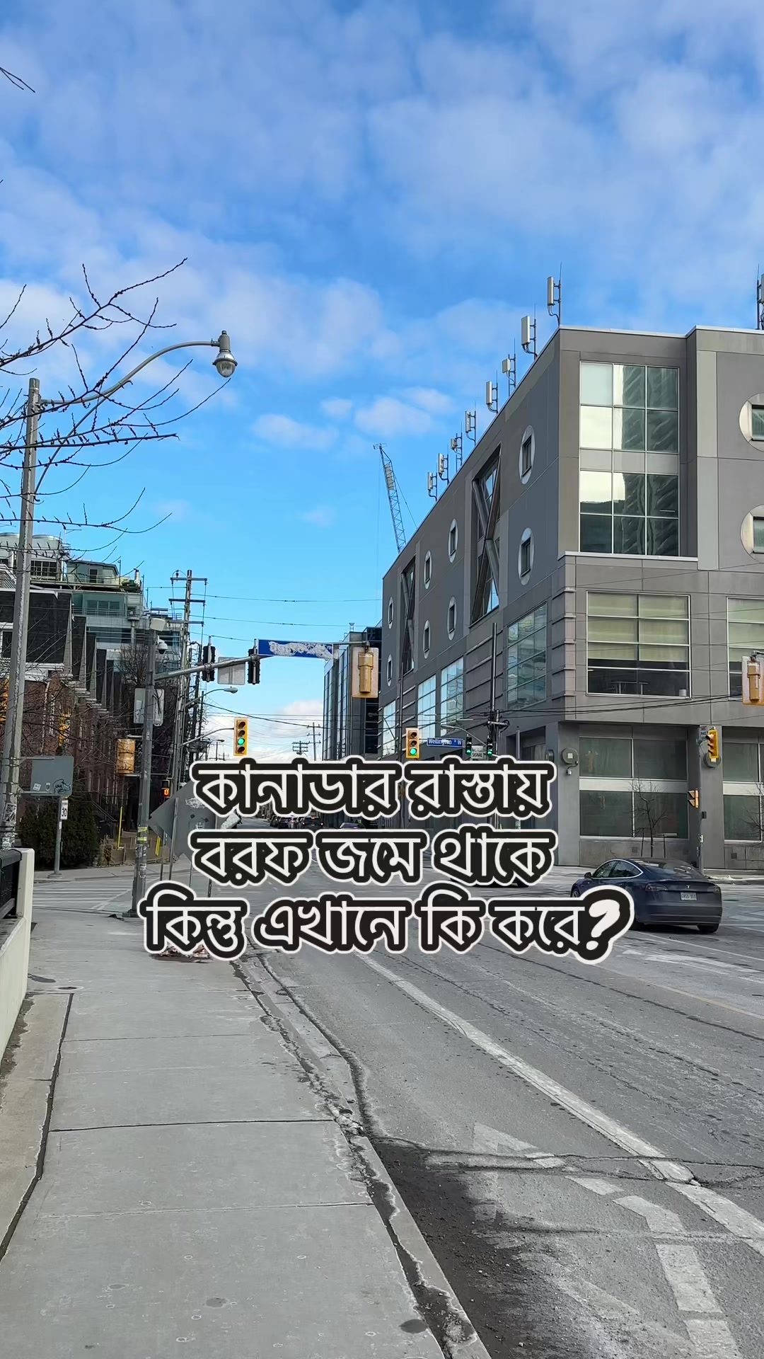 @Shibangi Chakraborty