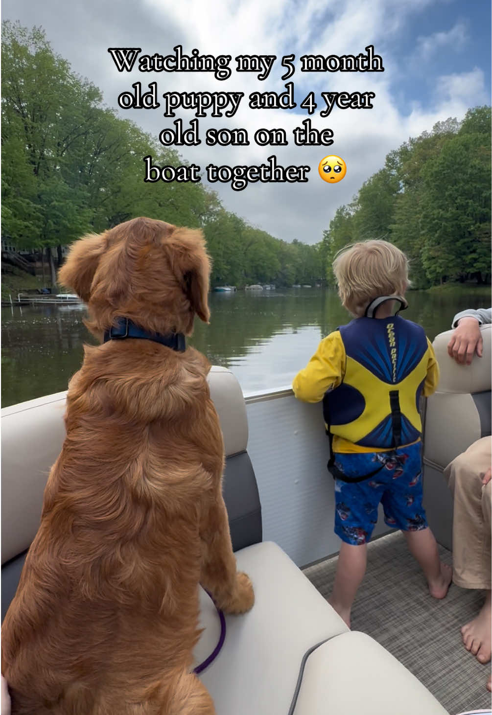 @potsiewithdogs