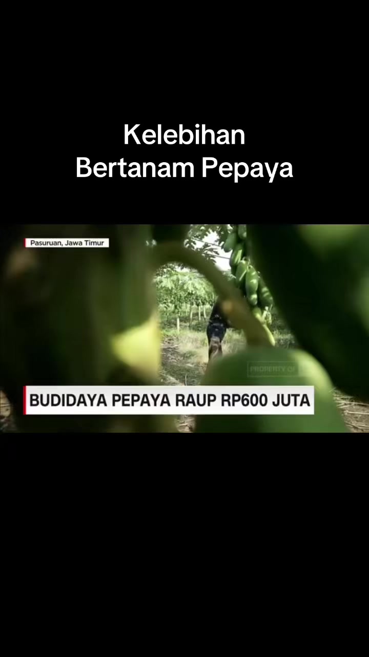 @HR.Trend