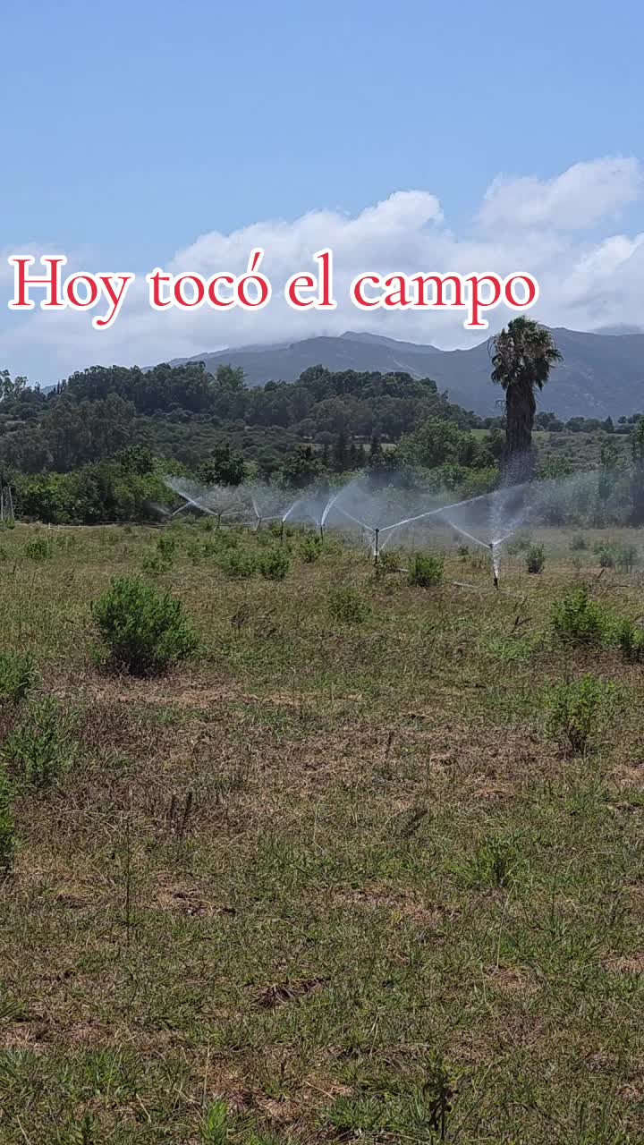 @@rinconlatino