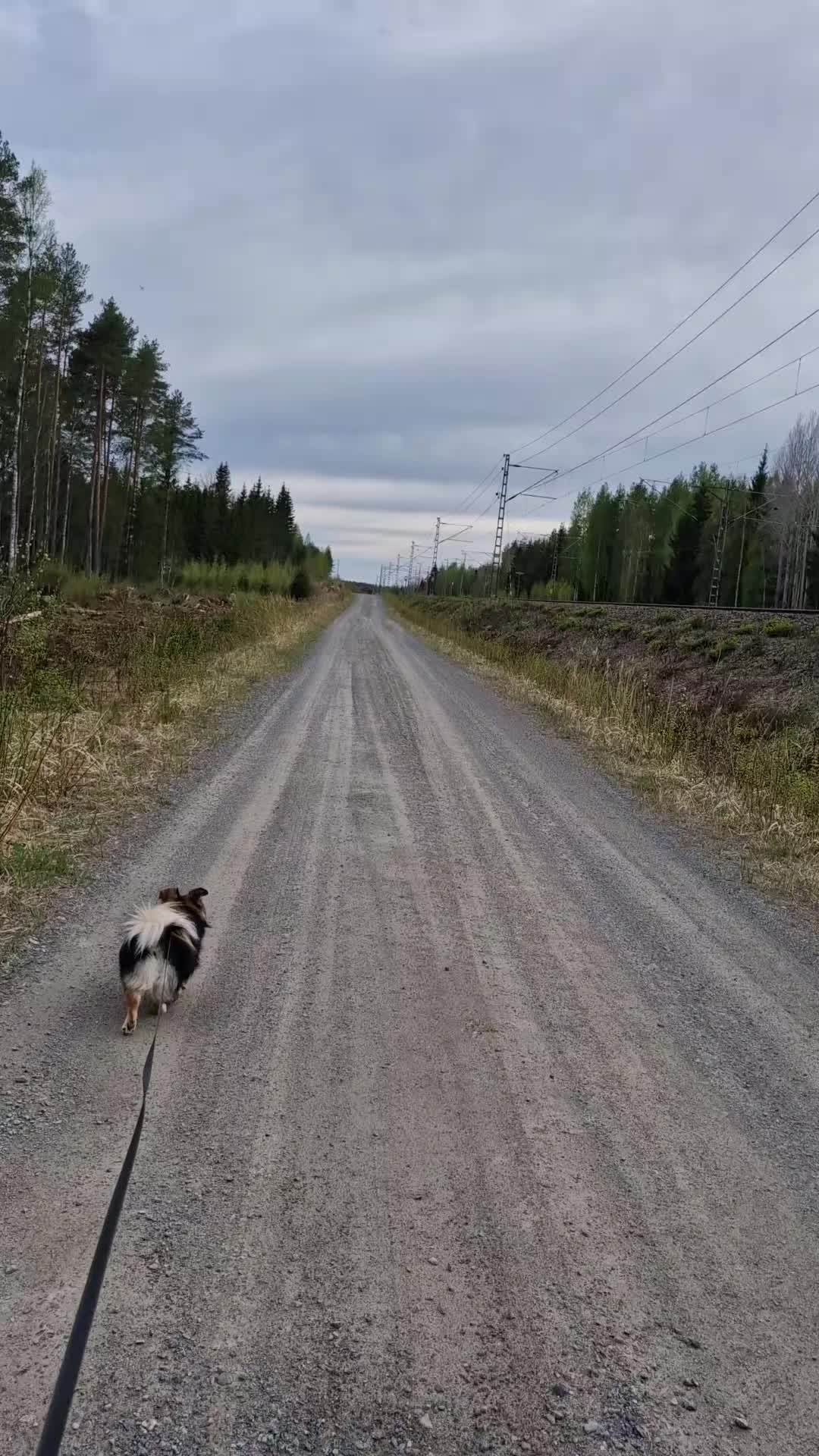 @MustaSyd&auml;n