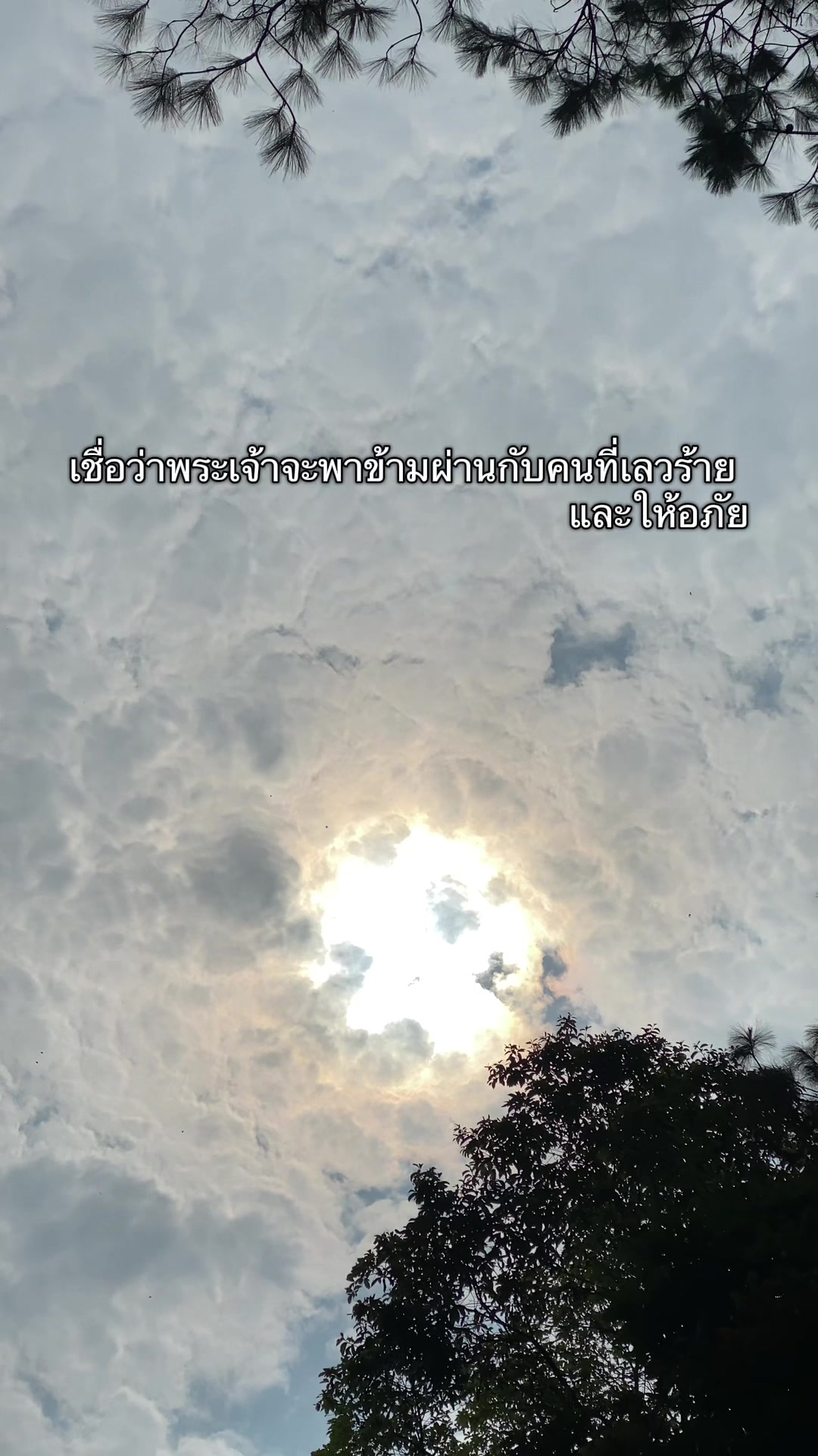 @พื้นที่สีเขียว🍃