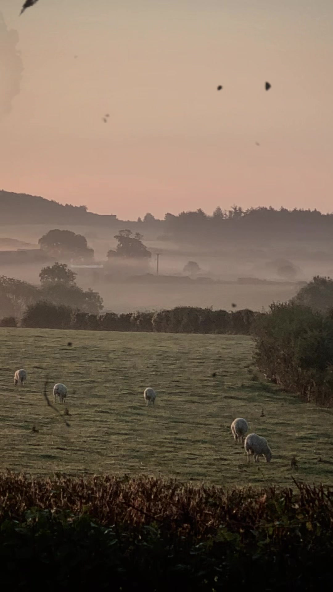 @Ramblings of a Quirky Welshman