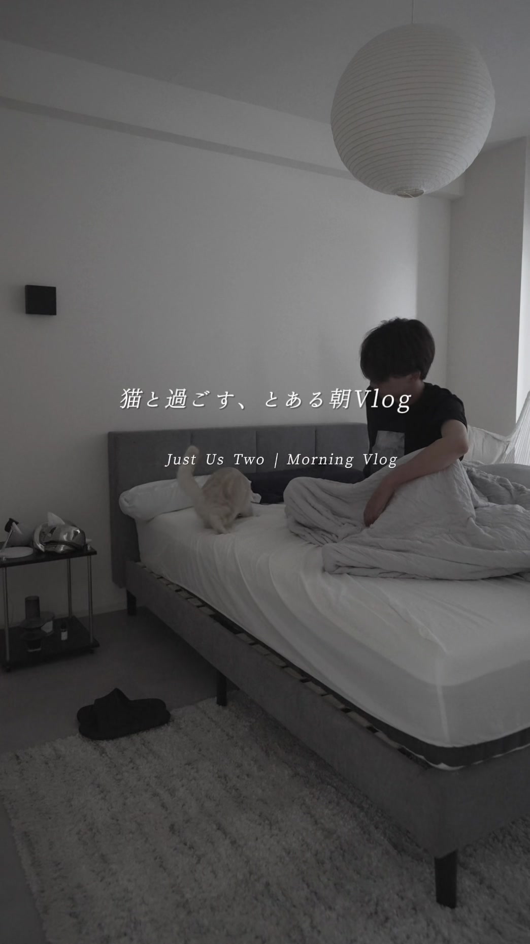 @あす | 一人暮らしを快適に💭